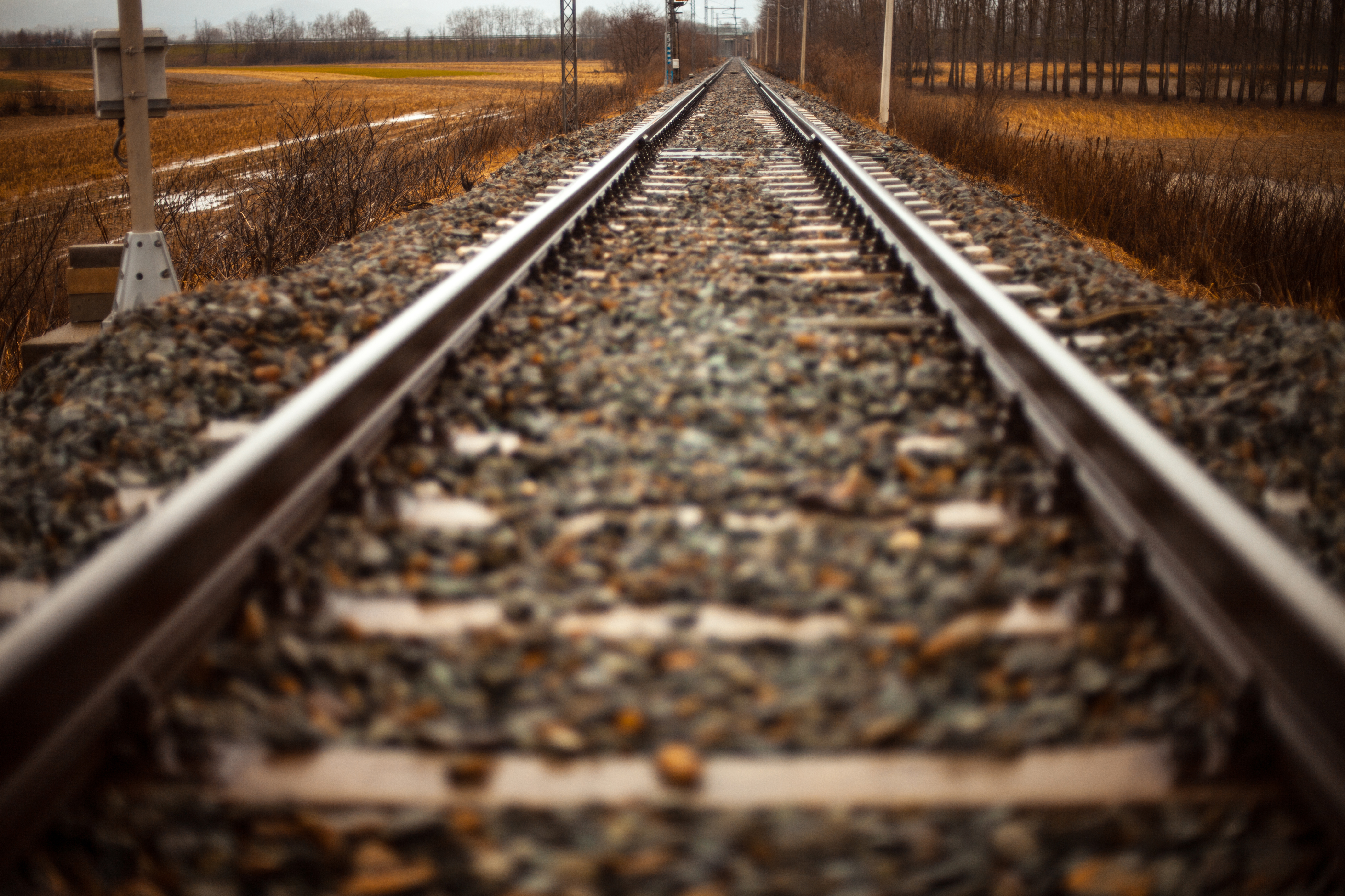 rails-train-path-straight